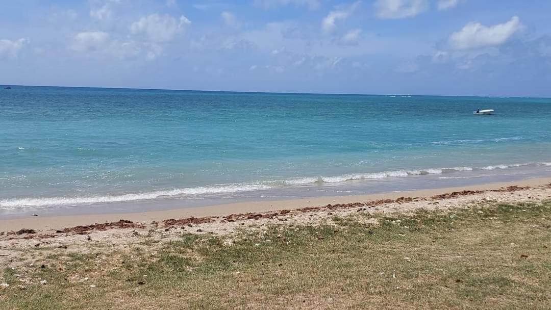 Ohana Guest House Port Mathurin Exterior photo